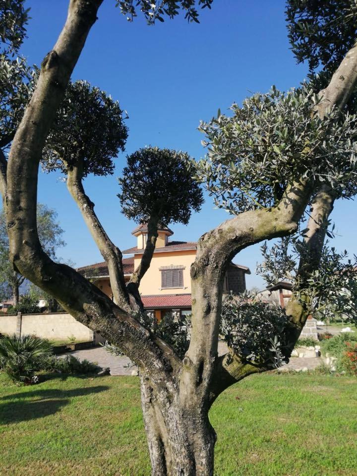 Ponte Vestilli B&B Limatola Exteriér fotografie